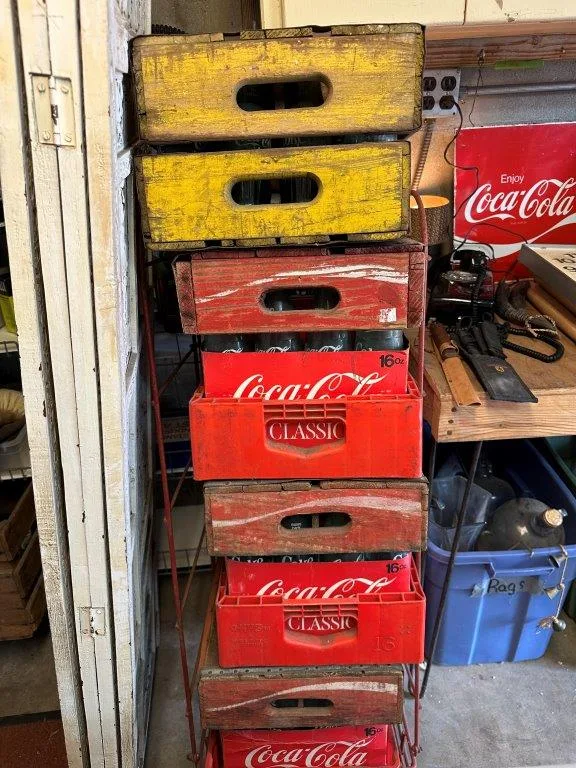 photo nov 24 2025 1 14 30 pm