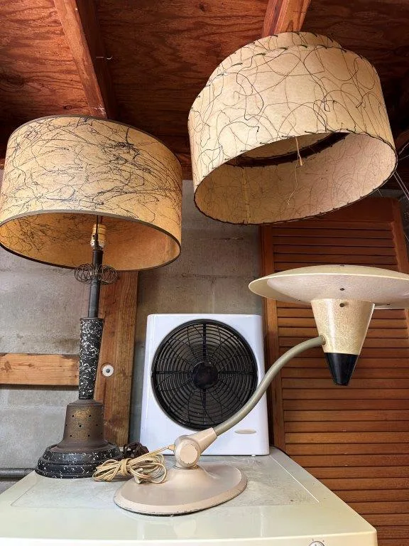 photo nov 24 2025 1 16 43 pm