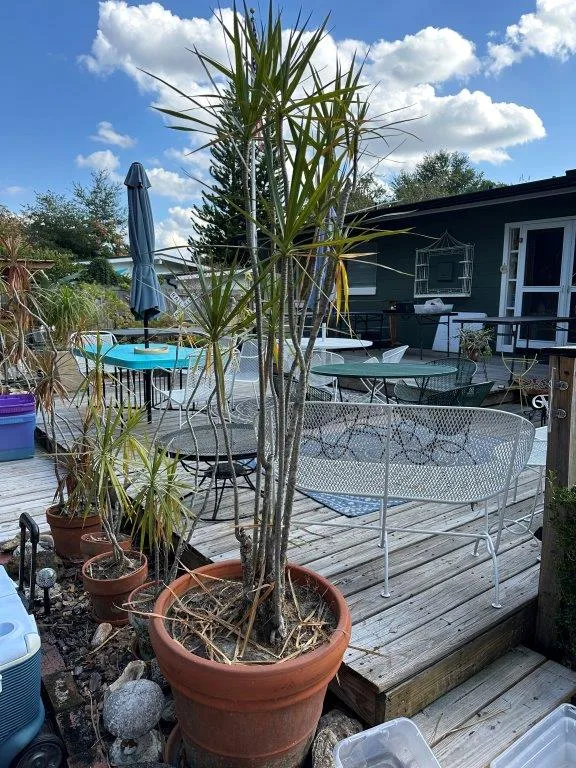 photo nov 24 2025 1 40 37 pm