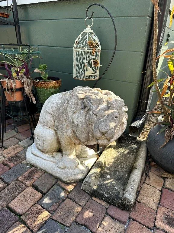 photo nov 24 2025 1 50 51 pm