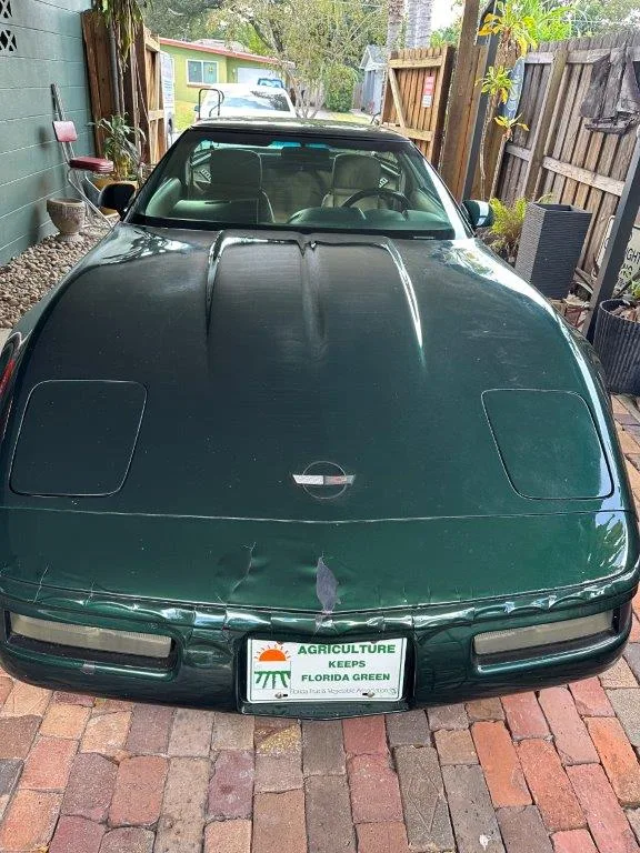 photo nov 24 2025 12 42 43 pm