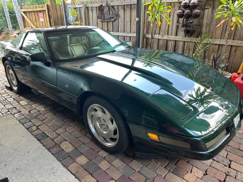 photo nov 24 2025 12 56 03 pm