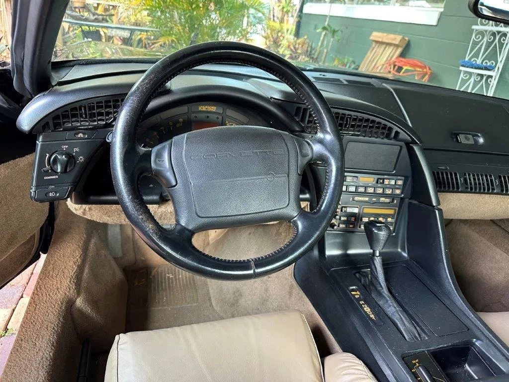 photo nov 24 2025 12 58 34 pm