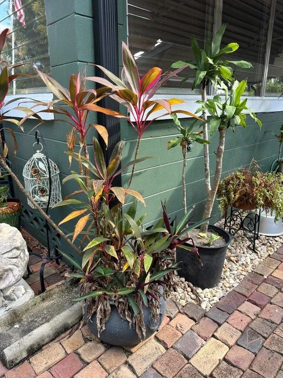 photo nov 24 2025 2 10 46 pm