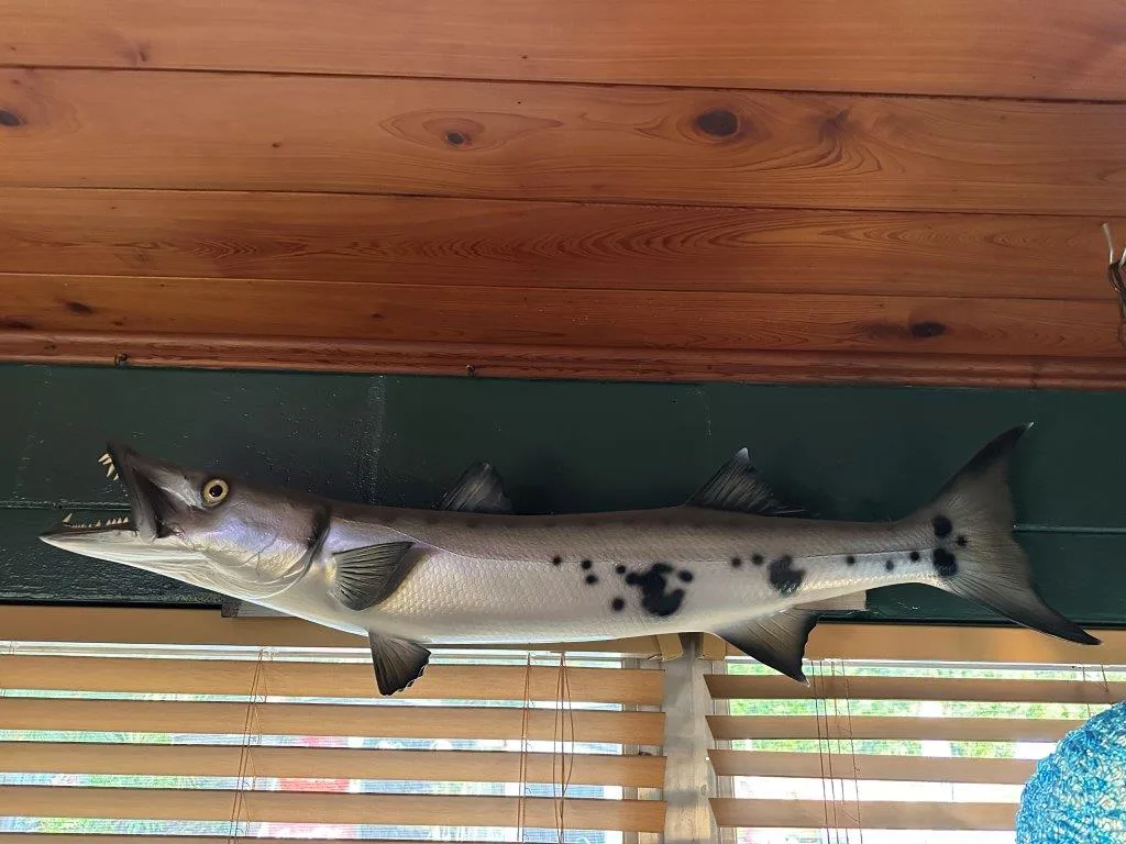 photo nov 24 2025 3 45 16 pm