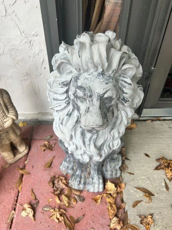 photo dec 01 2025 2 10 26 pm