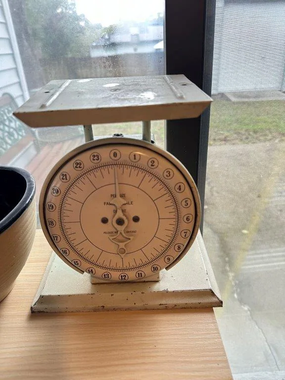 photo dec 08 2025 2 04 05 pm