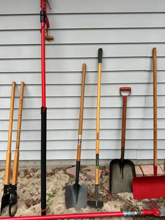 photo dec 08 2025 3 35 58 pm