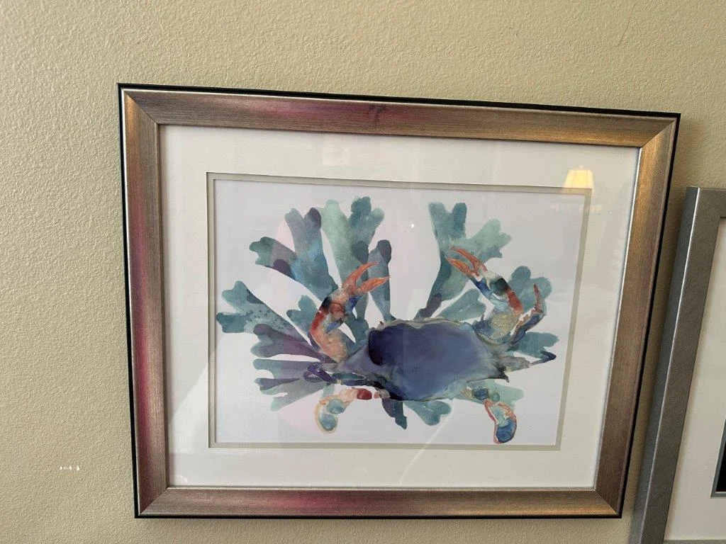 photo dec 29 2025 1 46 47 pm