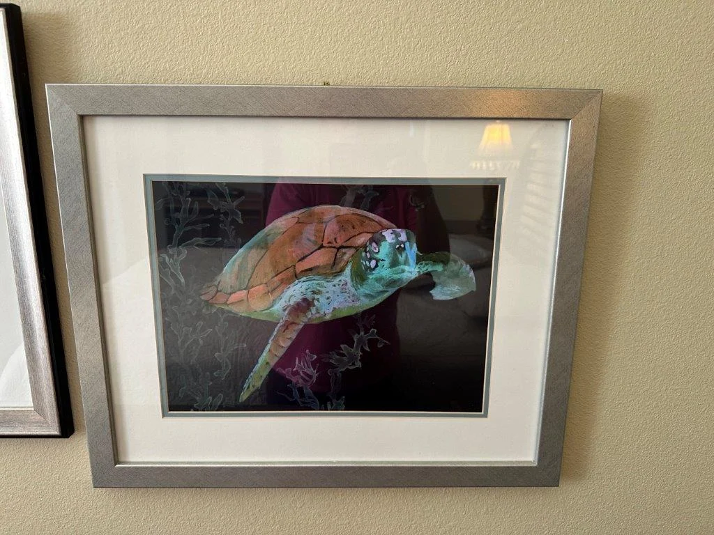 photo dec 29 2025 1 46 55 pm