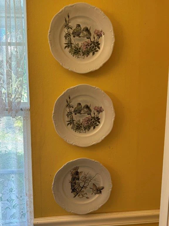 photo jan 26 2026 1 56 12 pm