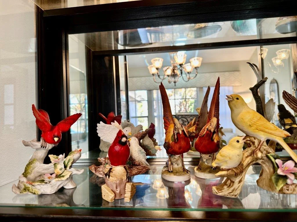 photo feb 09 2026 1 07 26 pm