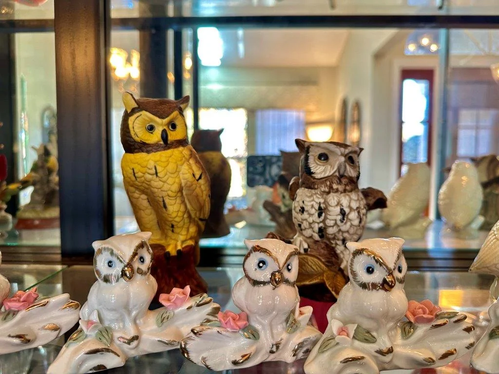 photo feb 09 2026 1 09 15 pm