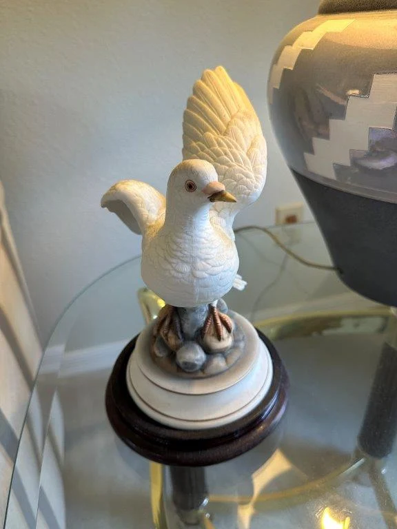 photo feb 09 2026 1 20 15 pm