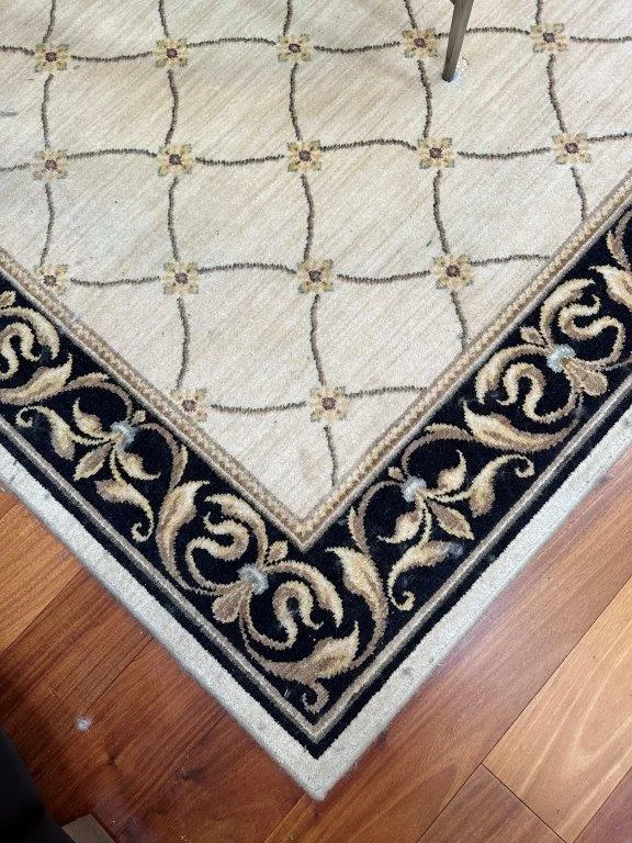 photo feb 09 2026 11 51 46 am