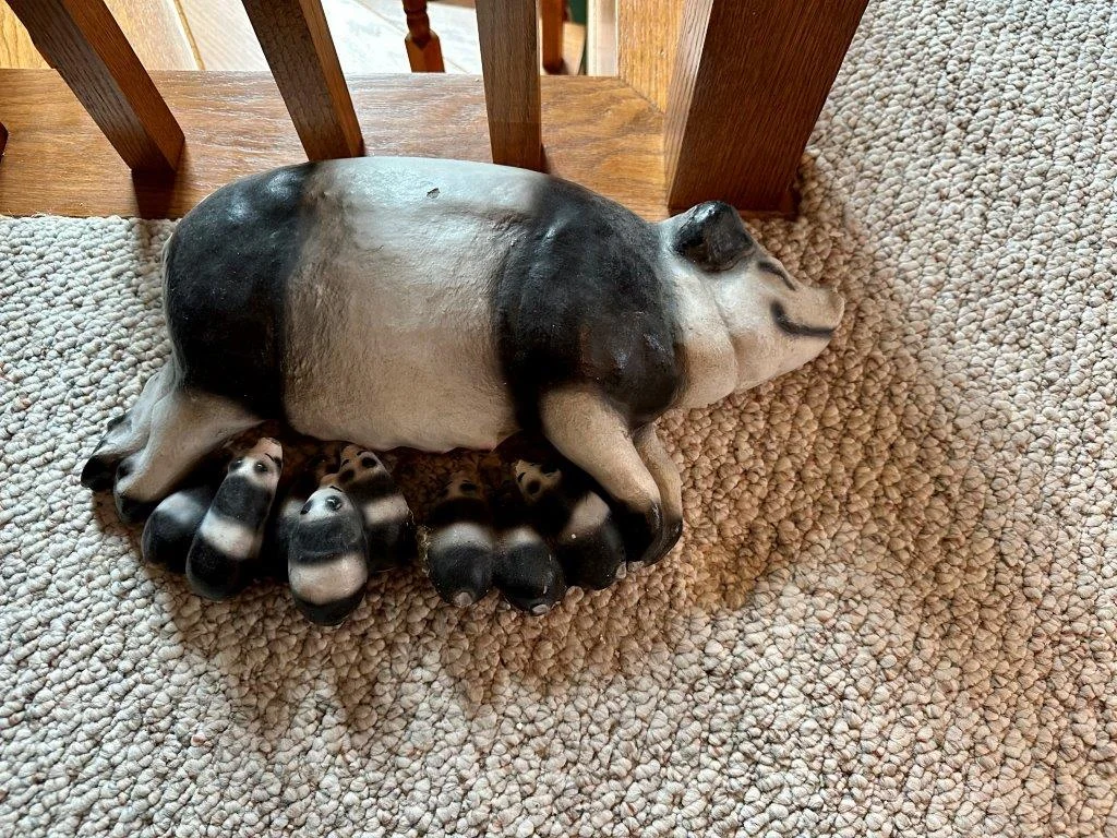 photo feb 16 2026 1 40 19 pm