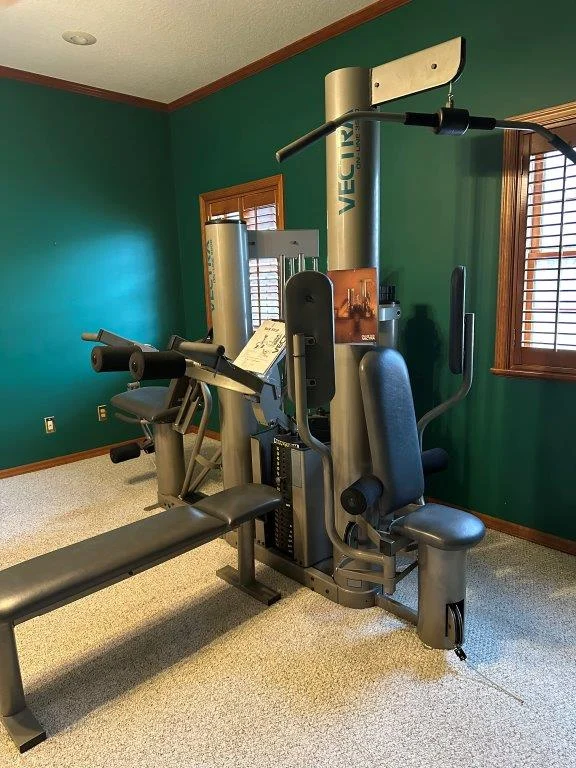 photo feb 16 2026 11 29 00 am