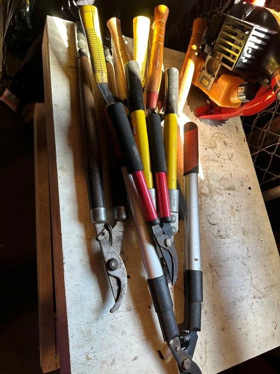 photo feb 23 2026 2 49 42 pm