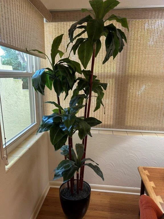 photo jan 06 2026 8 53 28 am