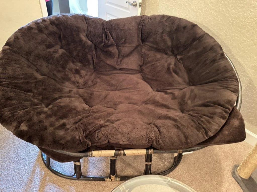 photo mar 02 2026 12 46 31 pm