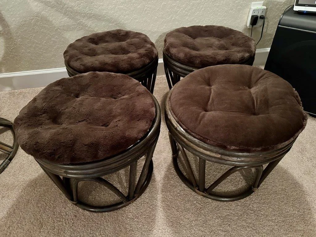 photo mar 02 2026 12 50 55 pm