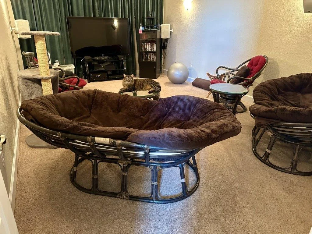 photo mar 02 2026 12 57 24 pm