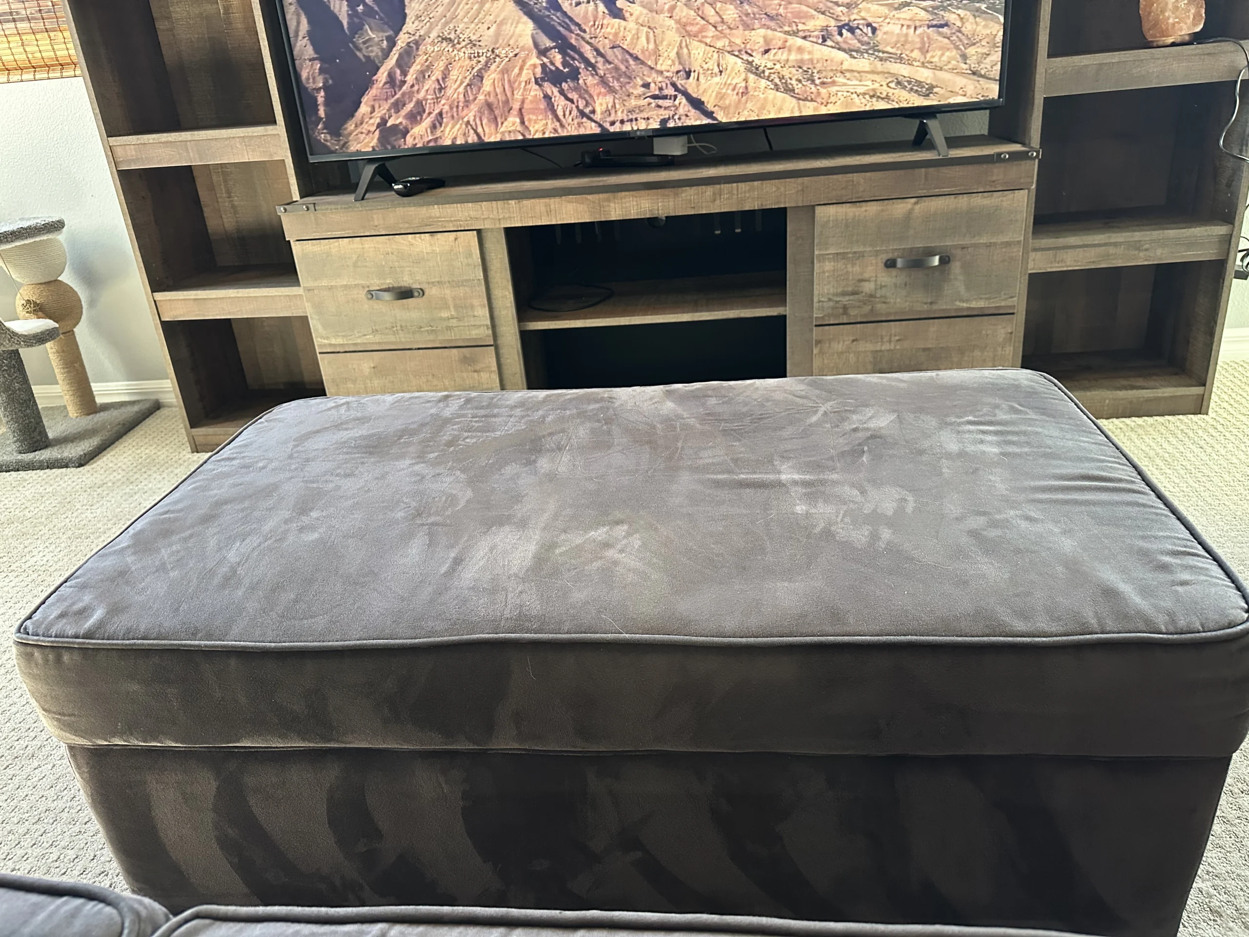 photo mar 23 2026 10 58 49 am scaled