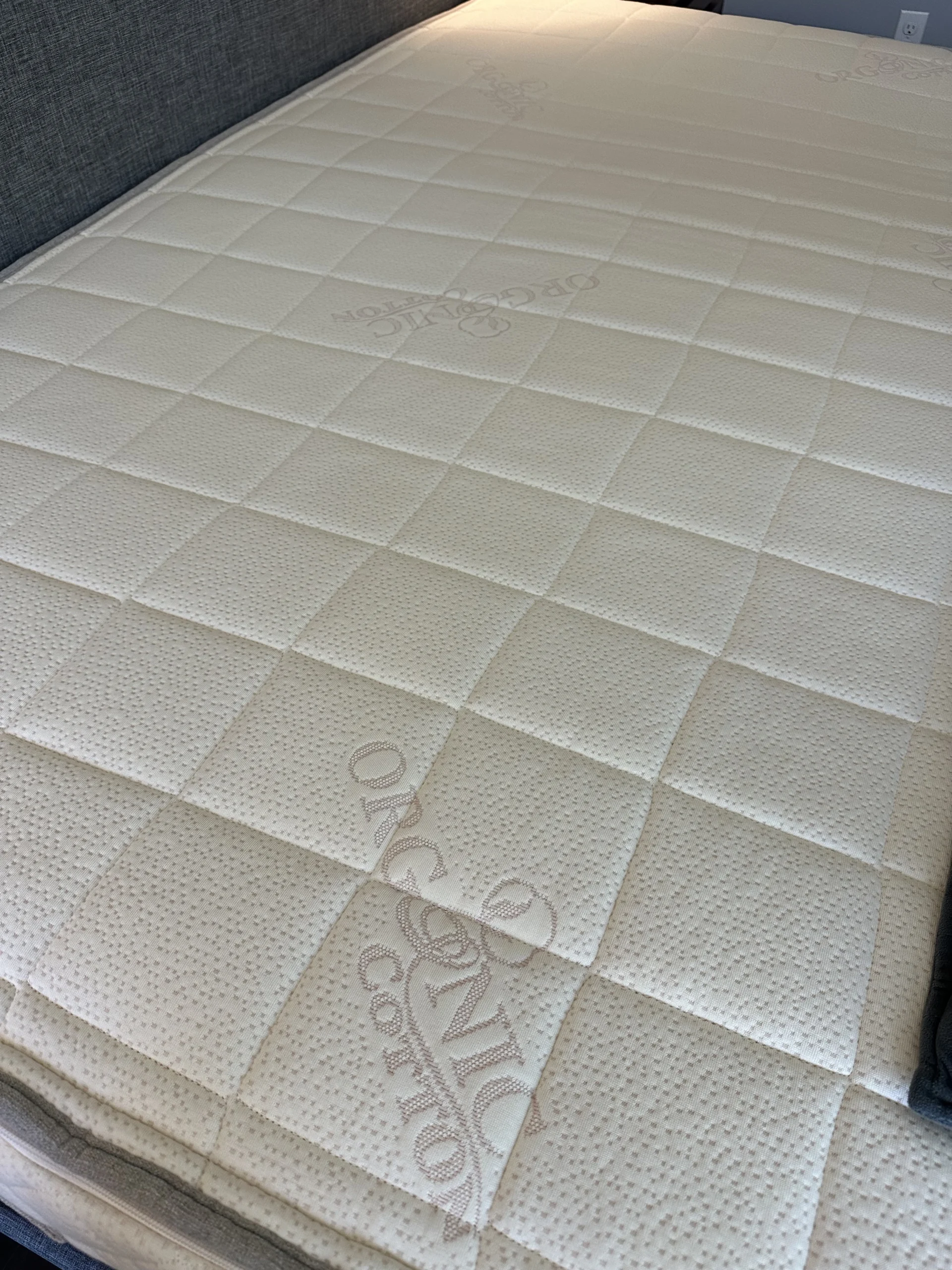 photo mar 23 2026 11 30 57 am scaled