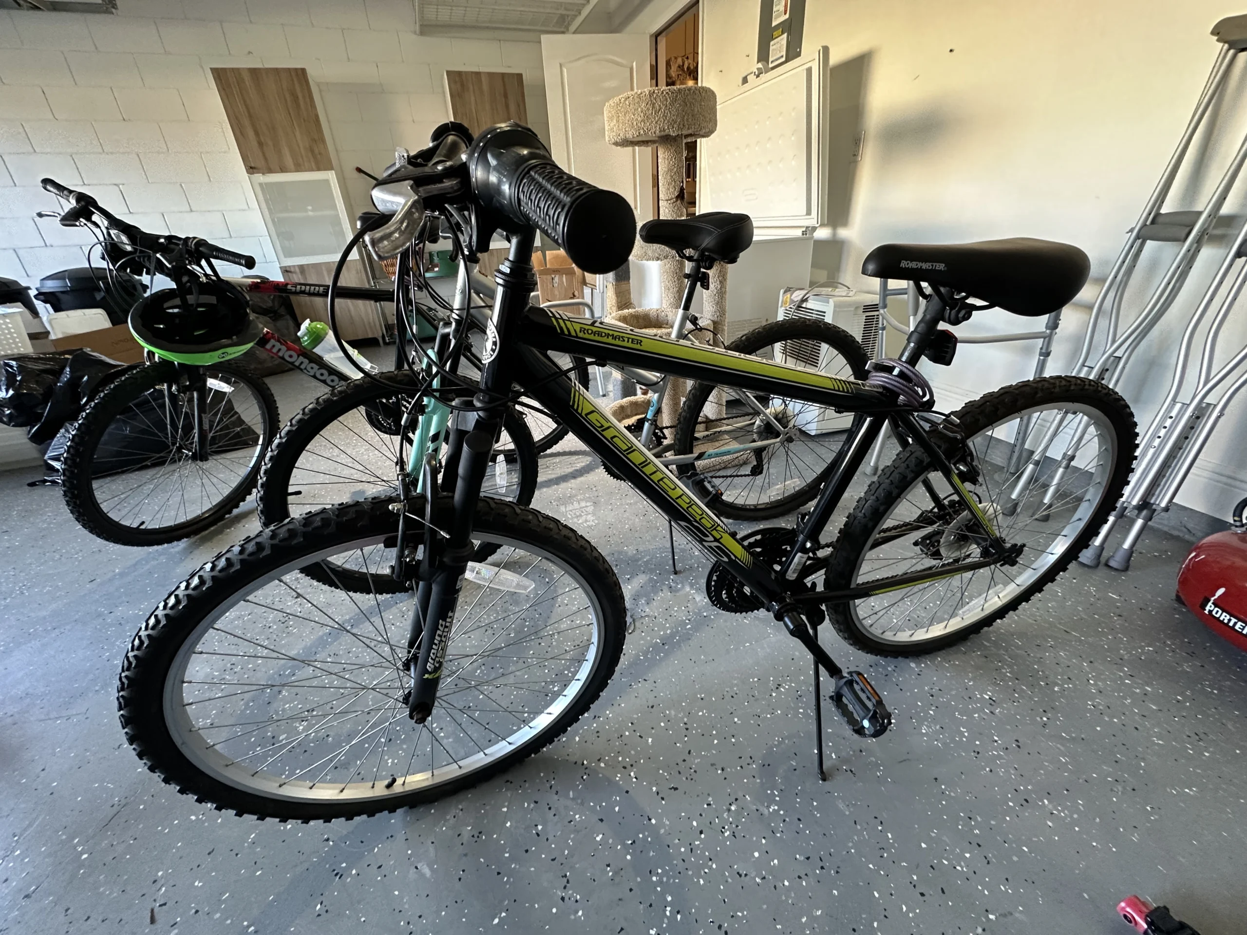 photo mar 23 2026 9 30 31 am scaled