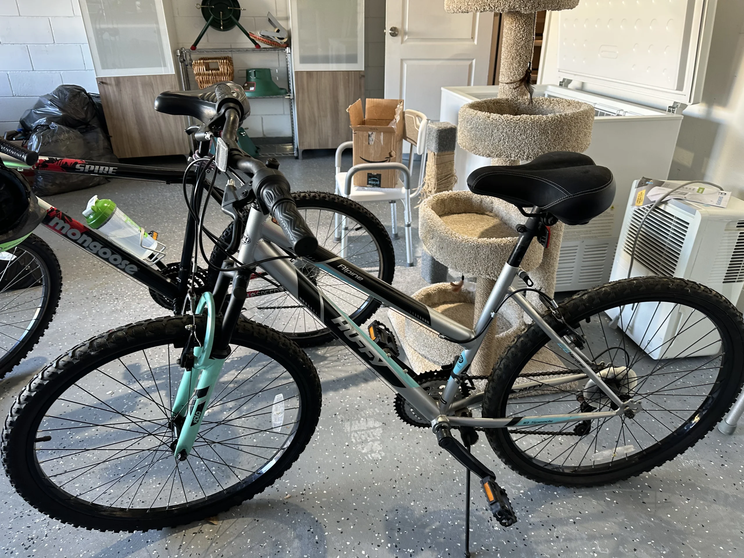 photo mar 23 2026 9 30 54 am scaled