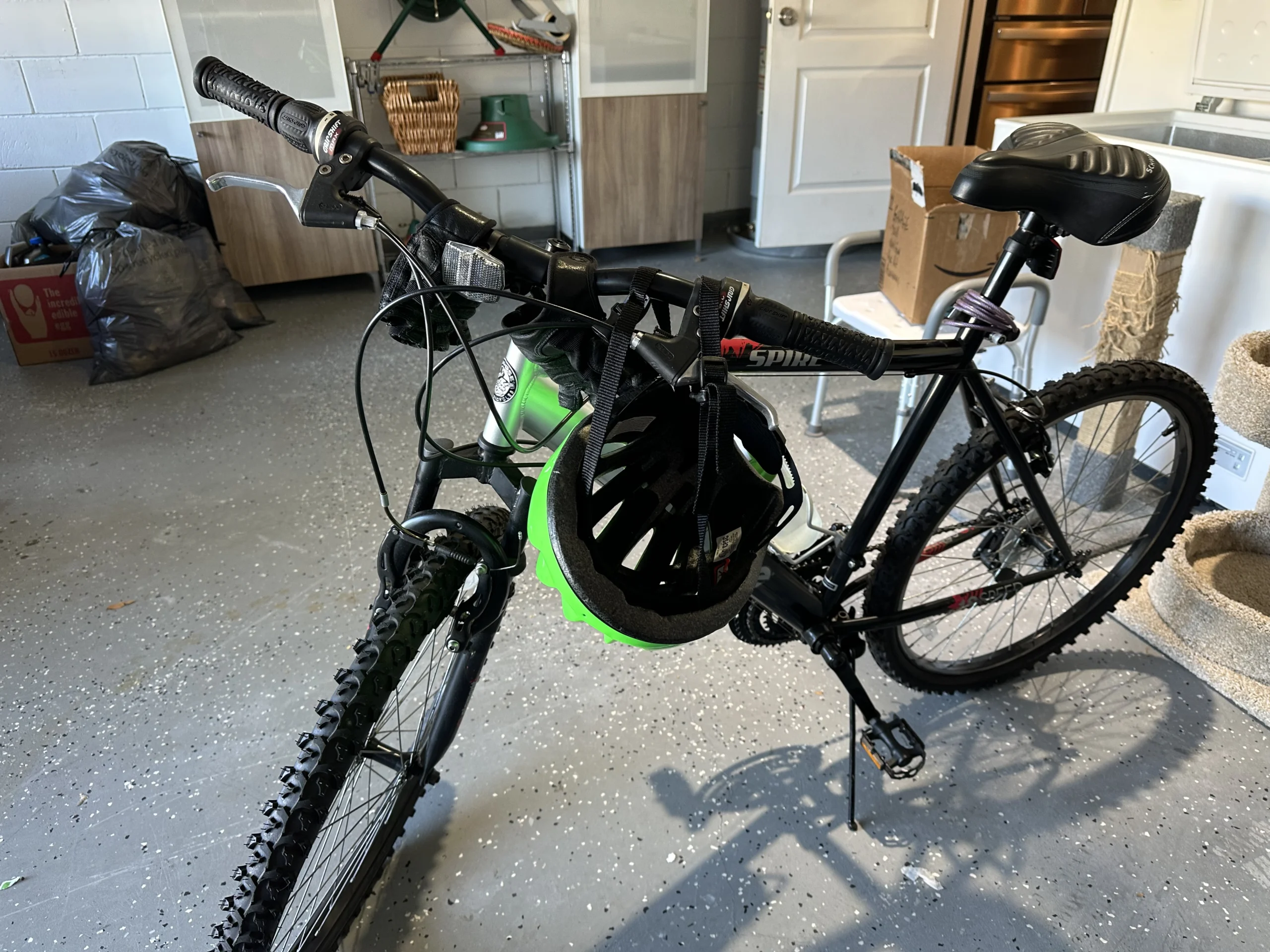 photo mar 23 2026 9 31 29 am scaled