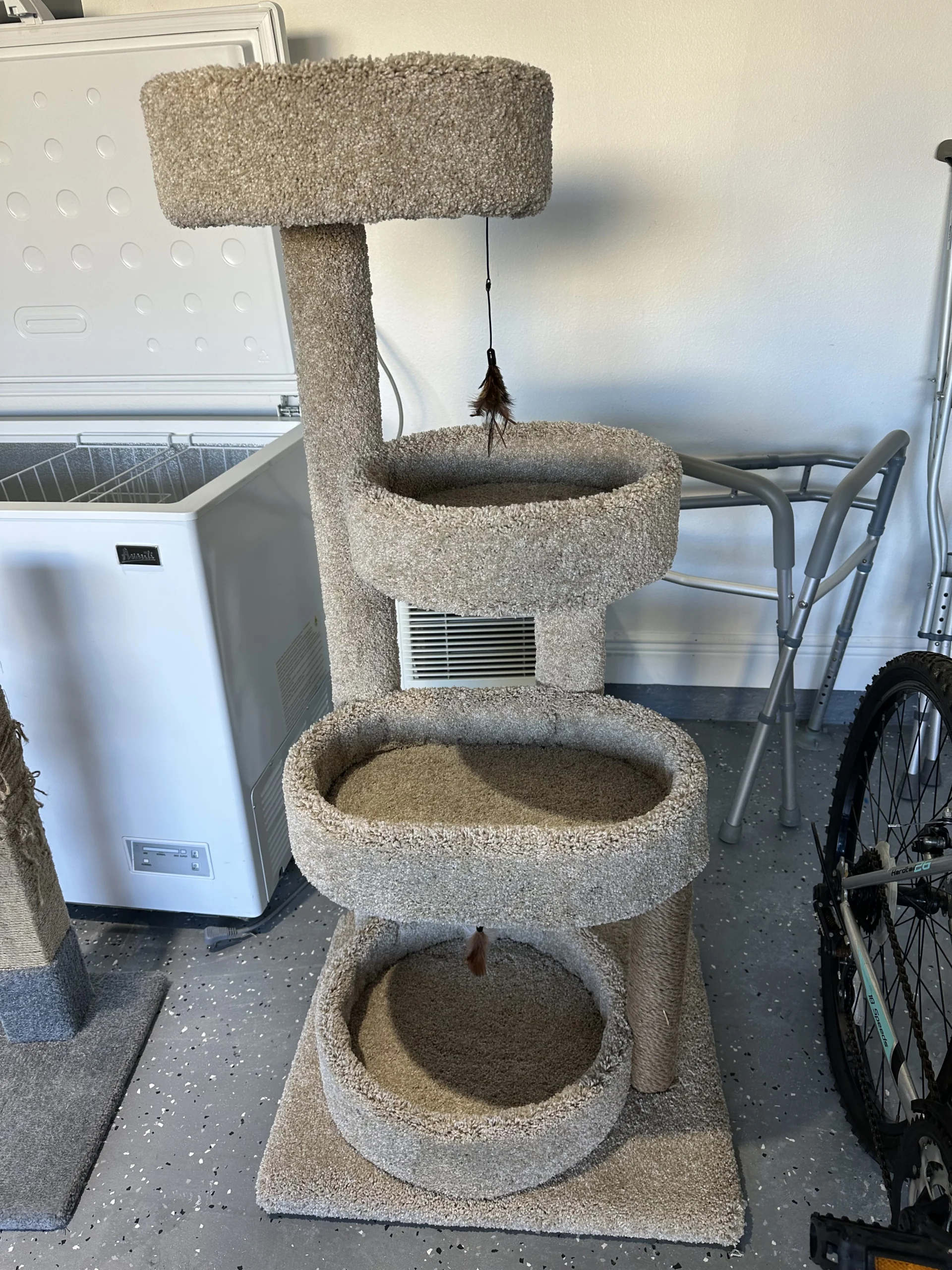 photo mar 23 2026 9 32 44 am scaled