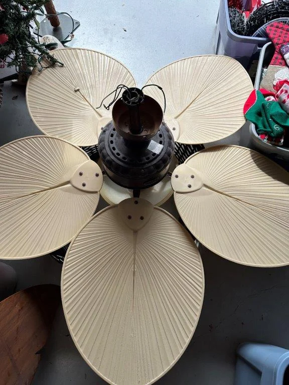 photo apr 06 2026 4 18 02 pm