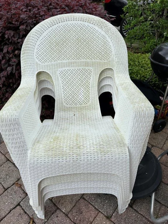 photo apr 06 2026 4 33 28 pm