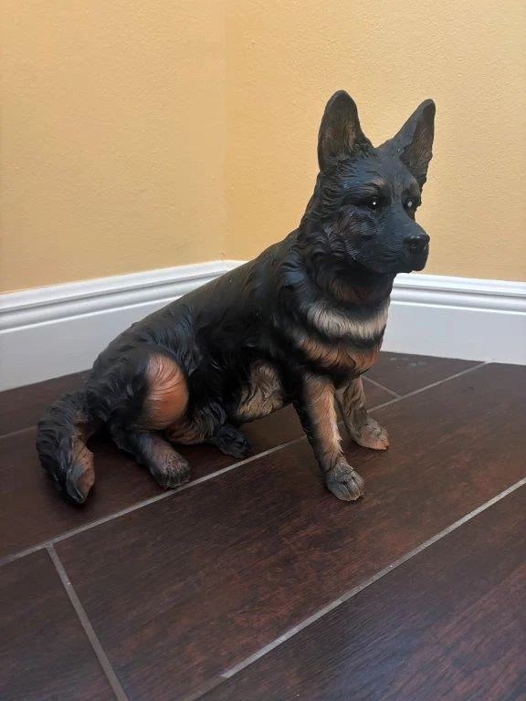 photo apr 20 2026 10 43 50 am